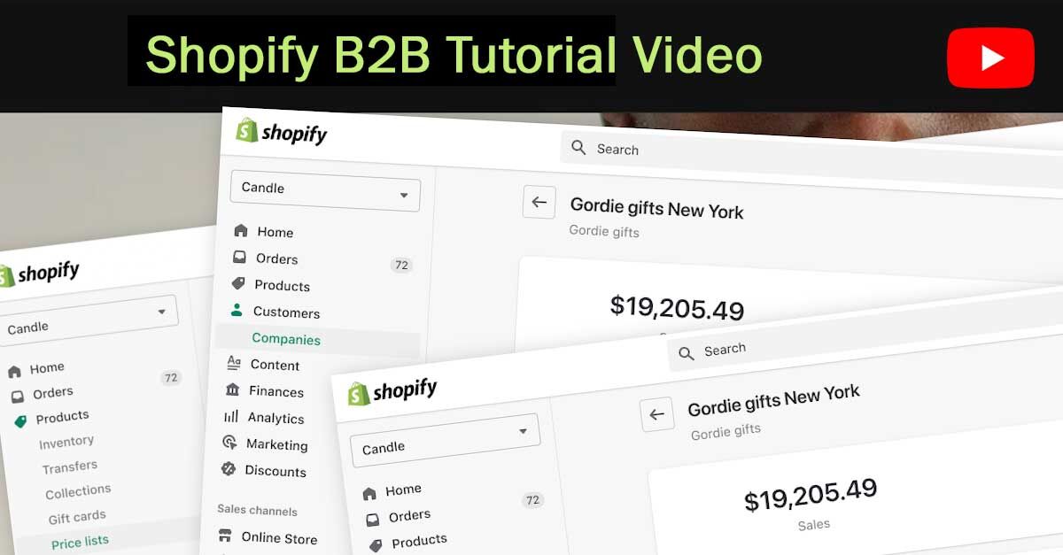 How To Use Shopify's B2B Features